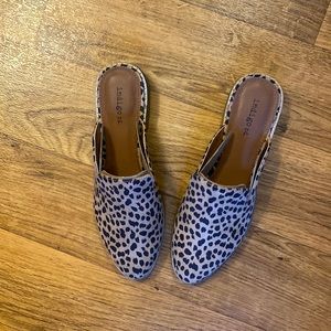 NWOT Indigo Rd Leopard Mules